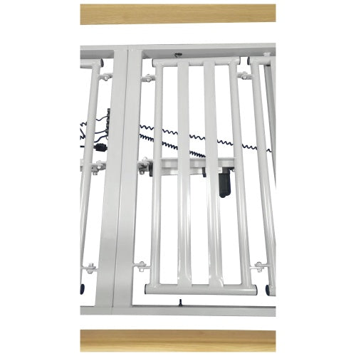 HealthCo Lola Homecare Bed