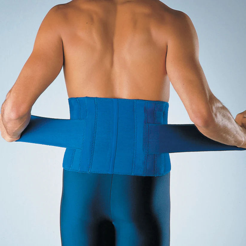LP High Back Support - 773