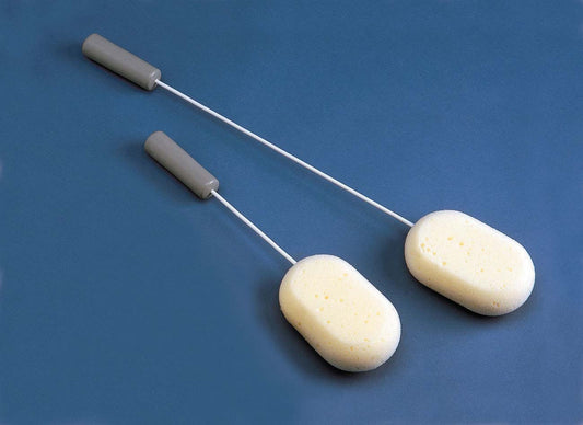 Long Handled Sponges