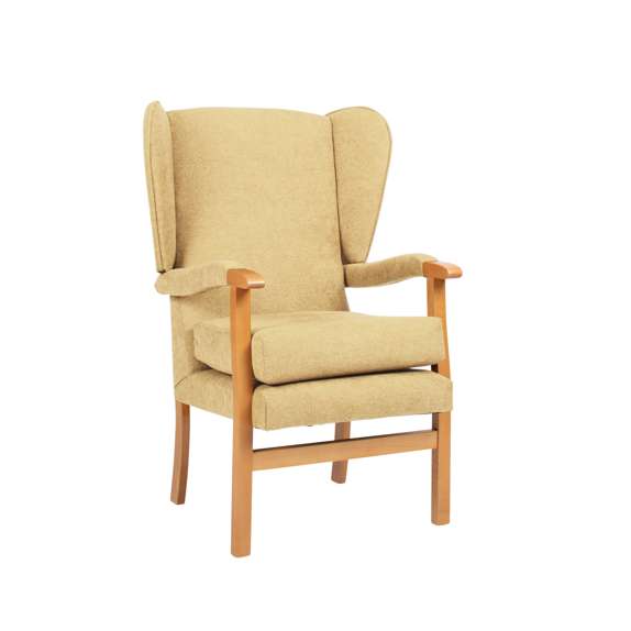 Drive Devilbiss Jubilee Fireside Hospital High Back Seat Chair FSC008