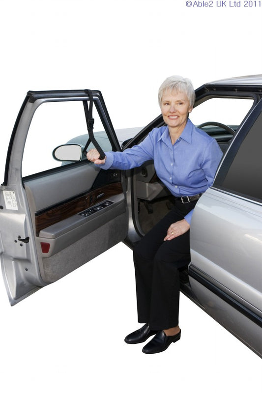 Able 2 Car Caddie PR40016 Car Help Window In and Out Grab Handle Car Door