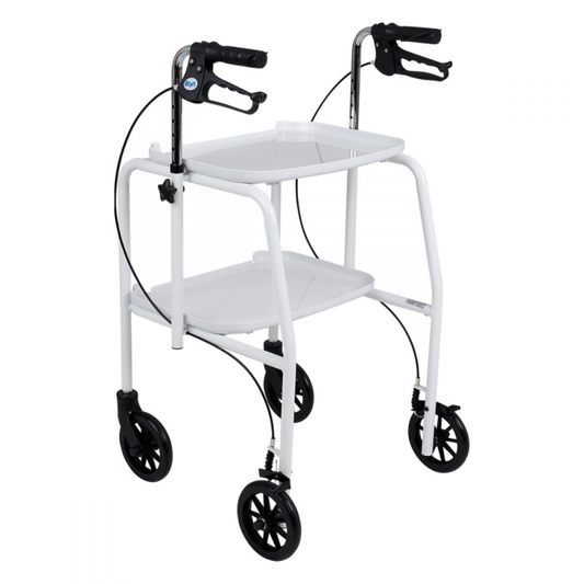 Chariot déambulateur Performance Health avec freins à main 081449230 091557289