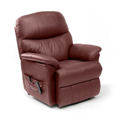 Drive Medical Lars Rise/Recline Duel Motor Leather Chair